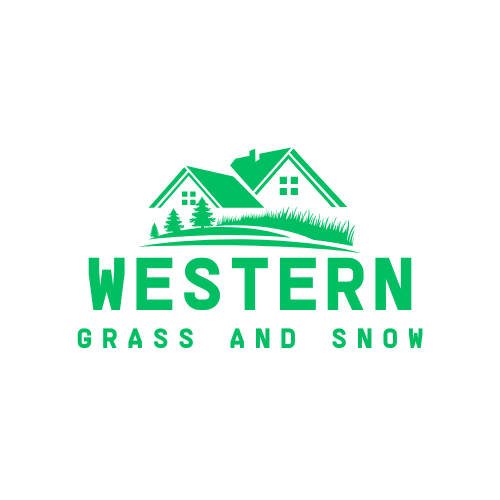 Western Grass